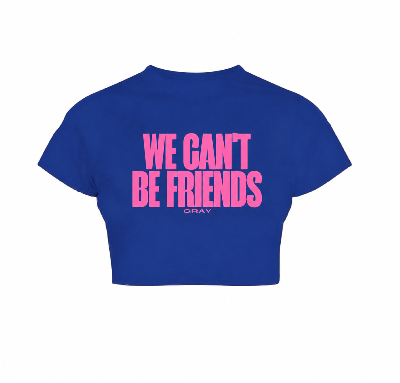 We Can't be friends Blue (Pink Edition)